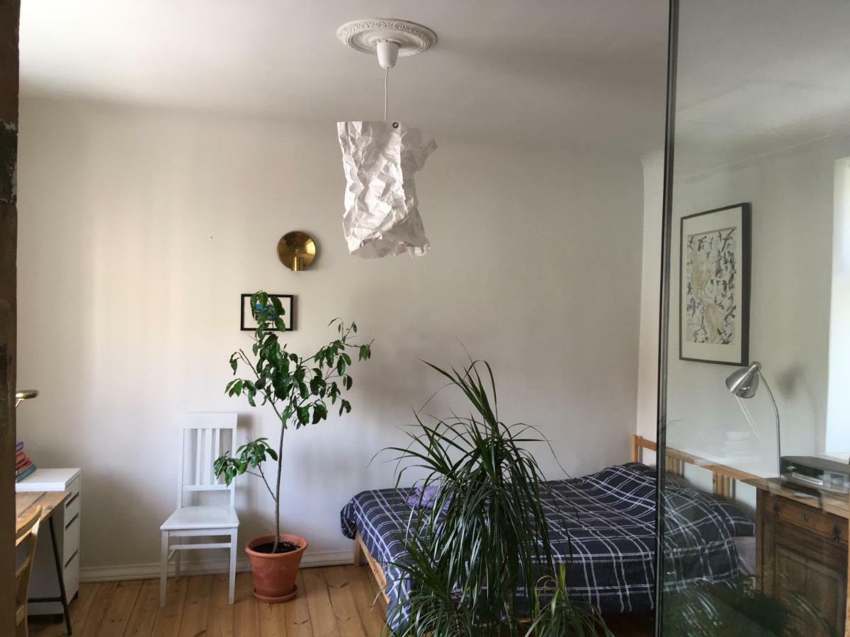 Sunrise Apartment In The Quiet Centre 里加 外观 照片