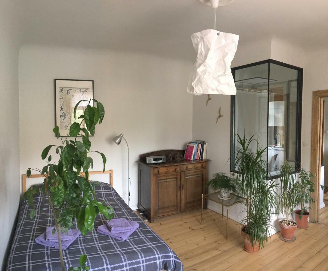 Sunrise Apartment In The Quiet Centre 里加 外观 照片